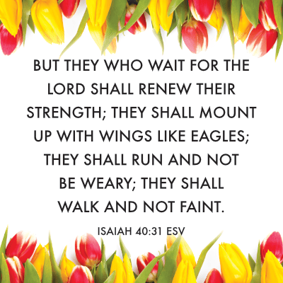 Isaiah 40:31 meaning of they that wait upon the Lord shall renew their strength