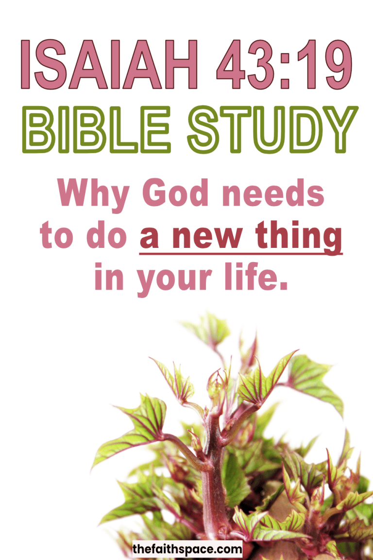 Isaiah 43:19 meaning: I am doing a new thing in the Bible - The Faith Space