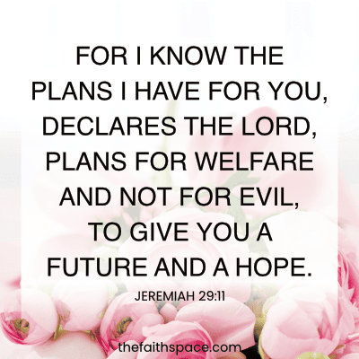 For I know the plans I have for you meaning of Jeremiah 29:11